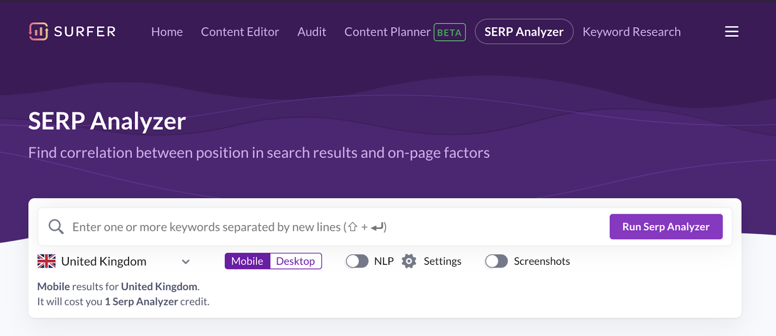 Surfer SERP Analyzer main view